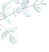 Modal Background Image 1