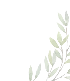 Modal Background Image 2
